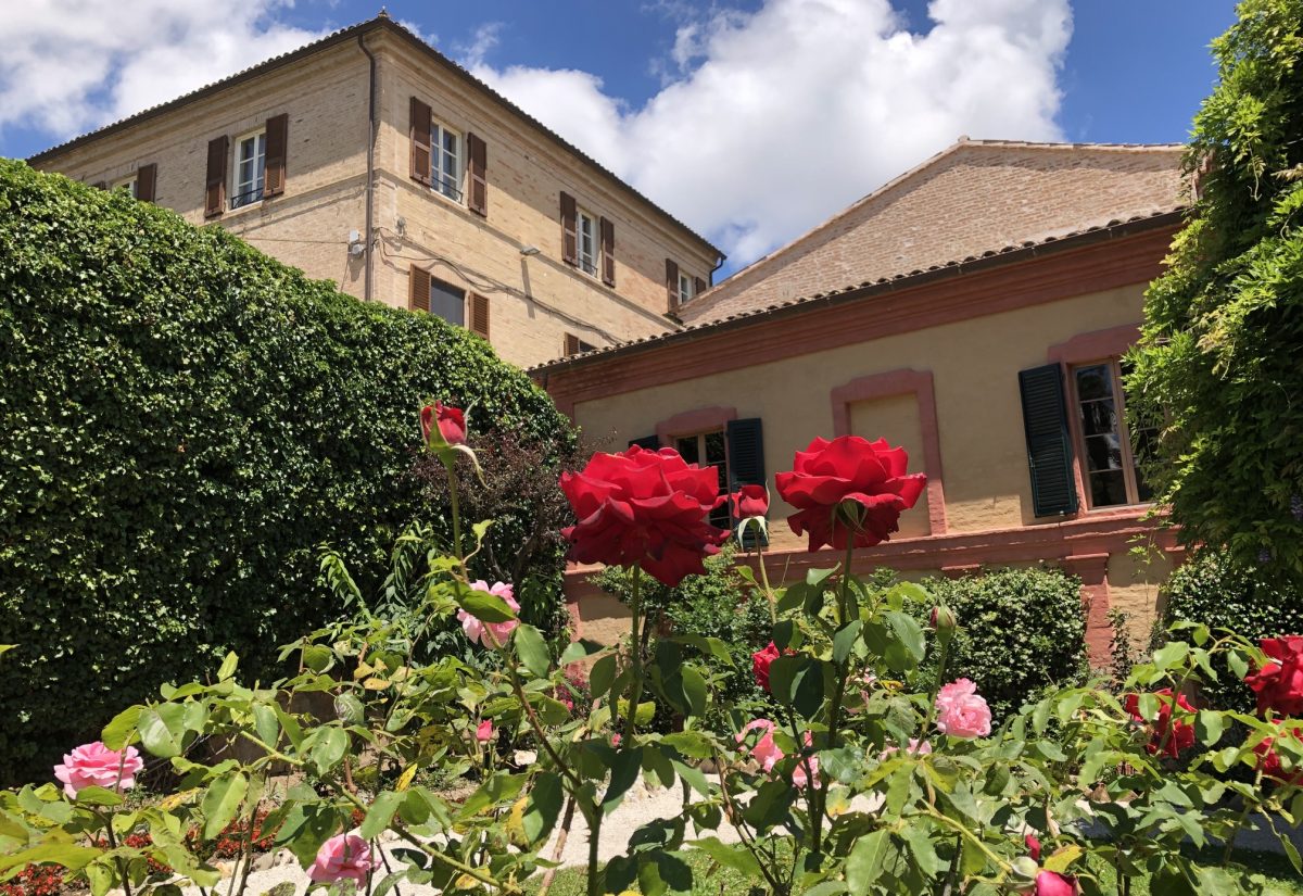 Rose giardino delle ricordanze